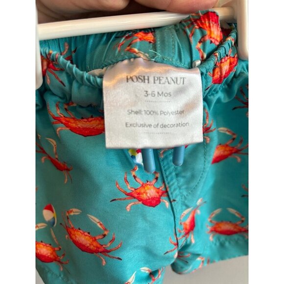 Posh peanut crab swim trunks 3/6M - Picture 4 of 6